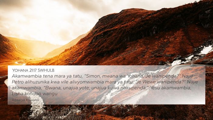 Yohana 21:17 SWHULB Bible Verse Image