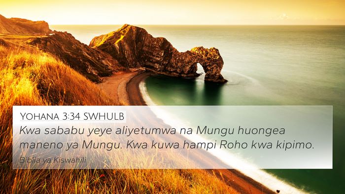 Yohana 3:34 SWHULB Bible Verse Image
