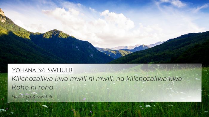 Yohana 3:6 SWHULB Bible Verse Image