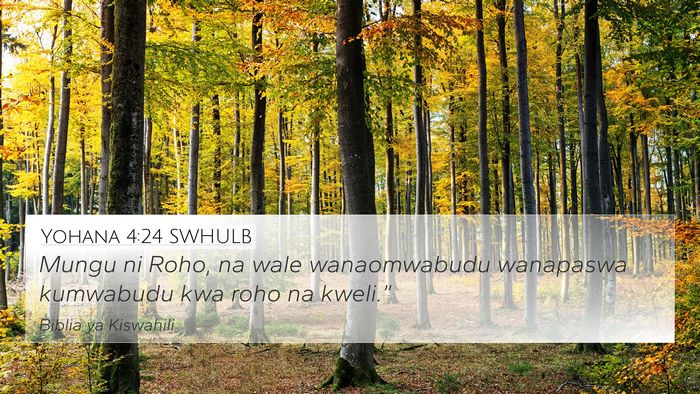 Yohana 4:24 SWHULB Bible Verse Image