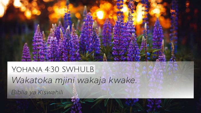 Yohana 4:30 SWHULB Bible Verse Image