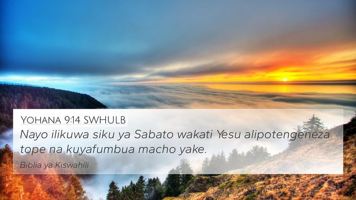 Yohana 9:14 SWHULB Bible Verse Image