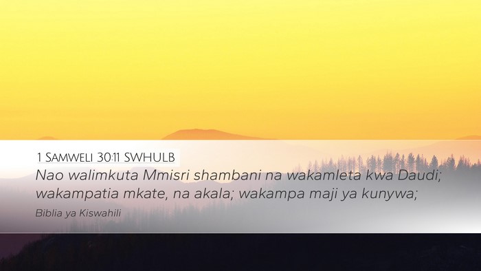 1 Samweli 30:11 SWHULB Desktop Wallpaper - Nao walimkuta Mmisri shambani na wakamleta kwa - Desktop Bible Verse Wallpaper