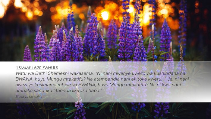 1 Samweli 6:20 SWHULB Bible Verse Image
