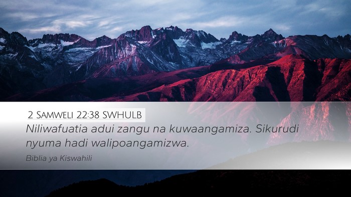 2 Samweli 22:38 SWHULB Desktop Wallpaper - Niliwafuatia adui zangu na kuwaangamiza. Sikurudi - Desktop Bible Verse Wallpaper
