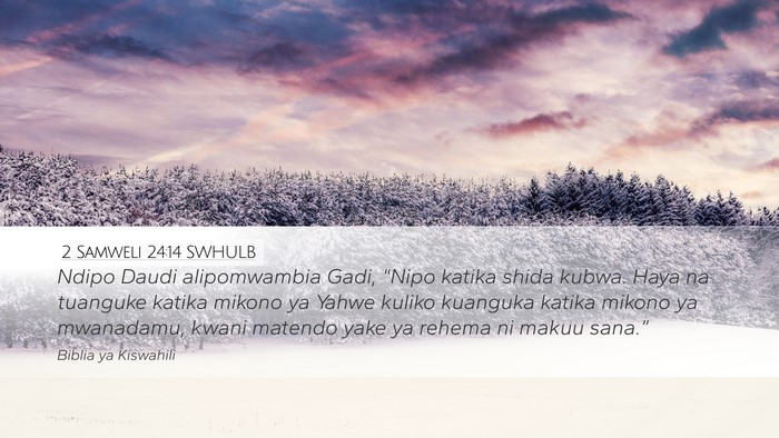 2 Samweli 24:14 SWHULB Bible Verse Image