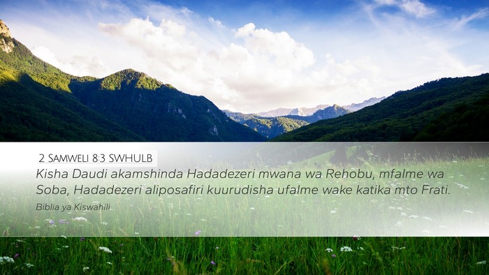 2 Samweli 8:3 SWHULB Bible Verse Image