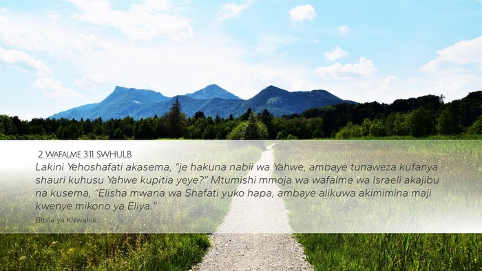 2 Wafalme 3:11 SWHULB Bible Verse Image