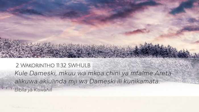 2 Wakorintho 11:32 SWHULB Bible Verse Image