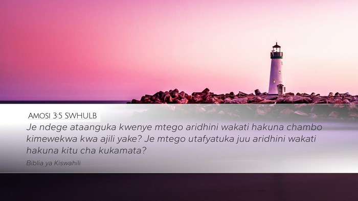 Amosi 3:5 SWHULB Bible Verse Image
