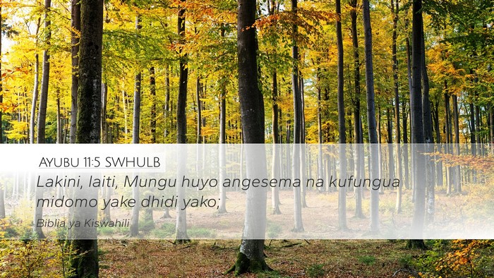 Ayubu 11:5 SWHULB Bible Verse Image