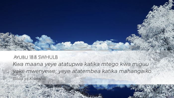Ayubu 18:8 SWHULB Desktop Wallpaper - Kwa maana yeye atatupwa katika mtego kwa miguu - Desktop Bible Verse Wallpaper