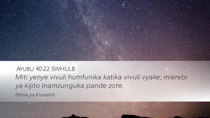 Ayubu 40:22 SWHULB Desktop Wallpaper - Miti yenye vivuli humfunika katika vivuli vyake; - Desktop Bible Verse Wallpaper