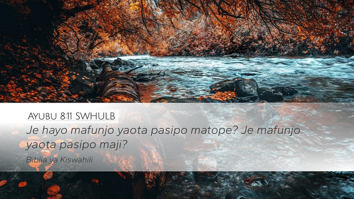 Ayubu 8:11 SWHULB Bible Verse Image