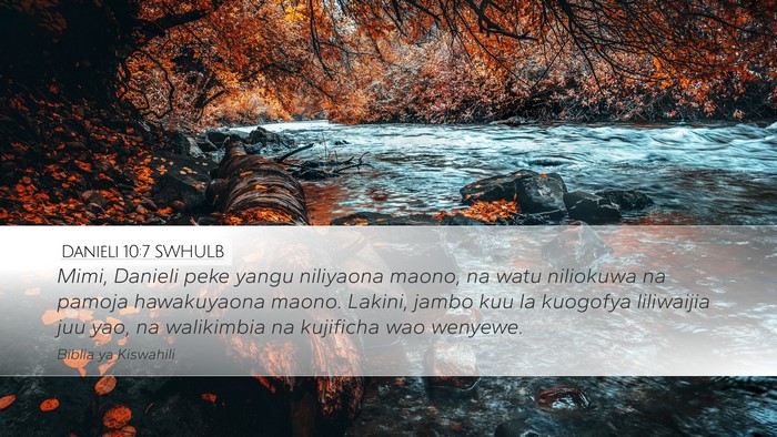 Danieli 10:7 SWHULB Bible Verse Image