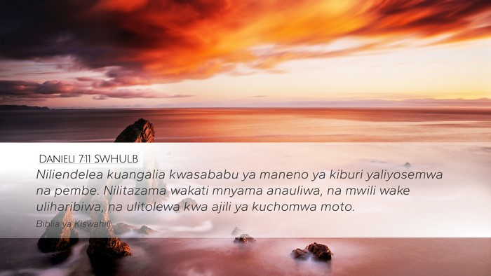 Danieli 7:11 SWHULB Bible Verse Image