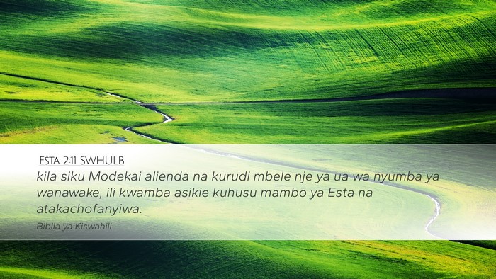Esta 2:11 SWHULB Desktop Wallpaper - kila siku Modekai alienda na kurudi mbele nje ya - Desktop Bible Verse Wallpaper