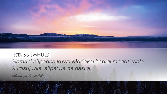 Esta 3:5 SWHULB Bible Verse Image