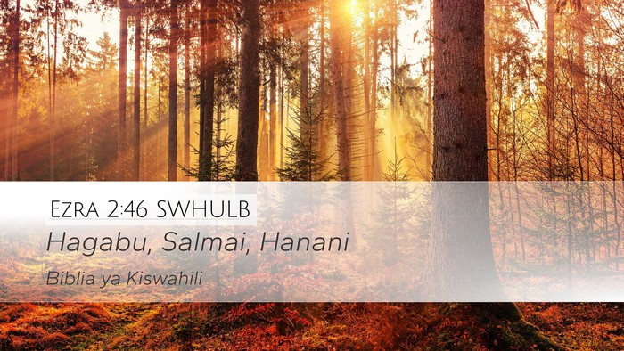 Ezra 2:46 SWHULB Desktop Wallpaper - Hagabu, Salmai, - Desktop Bible Verse Wallpaper