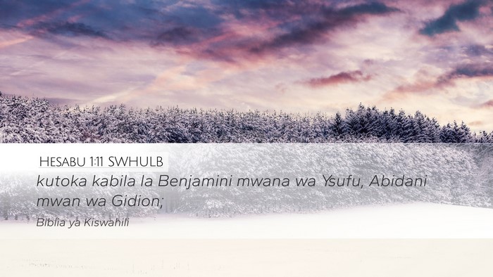 Hesabu 1:11 SWHULB Desktop Wallpaper - kutoka kabila la Benjamini mwana wa Ysufu, - Desktop Bible Verse Wallpaper