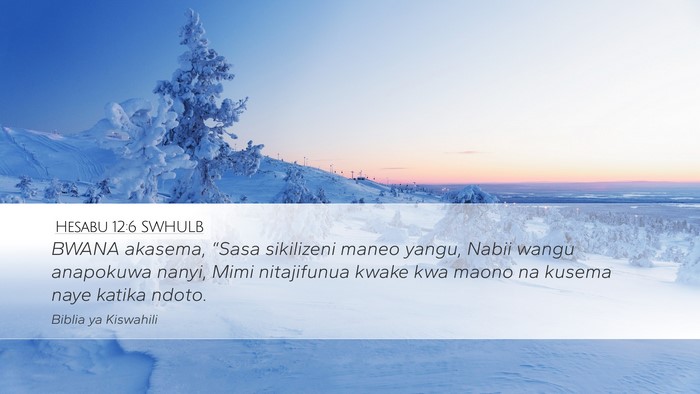 Hesabu 12:6 SWHULB Bible Verse Image