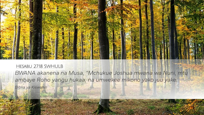 Hesabu 27:18 SWHULB Bible Verse Image