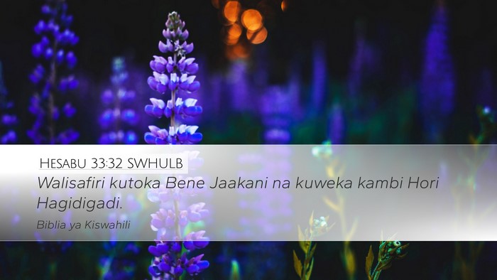 Hesabu 33:32 SWHULB Bible Verse Image