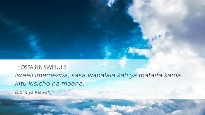 Hosea 8:8 SWHULB Bible Verse Image