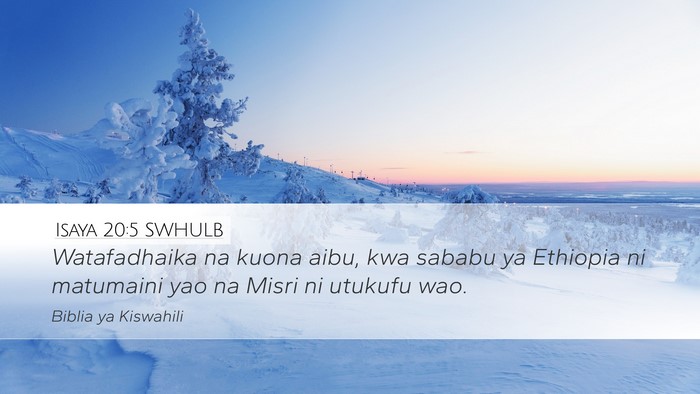 Isaya 20:5 SWHULB Bible Verse Image