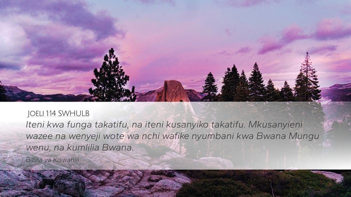 Joeli 1:14 SWHULB Bible Verse Image