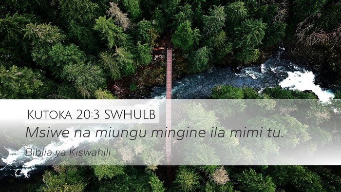 Kutoka 20:3 SWHULB Bible Verse Image