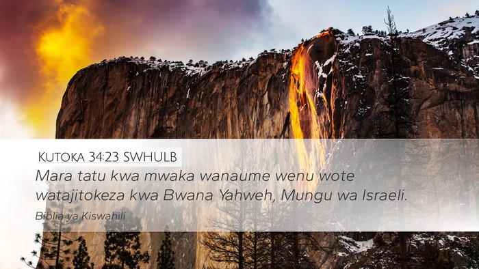 Kutoka 34:23 SWHULB Bible Verse Image