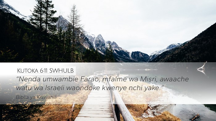 Kutoka 6:11 SWHULB Bible Verse Image