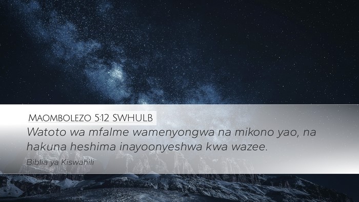 Maombolezo 5:12 SWHULB Bible Verse Image