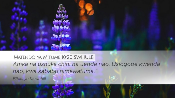 Matendo ya Mitume 10:20 SWHULB Desktop Wallpaper - Amka na ushuke chini na uende nao. Usiogope - Desktop Bible Verse Wallpaper