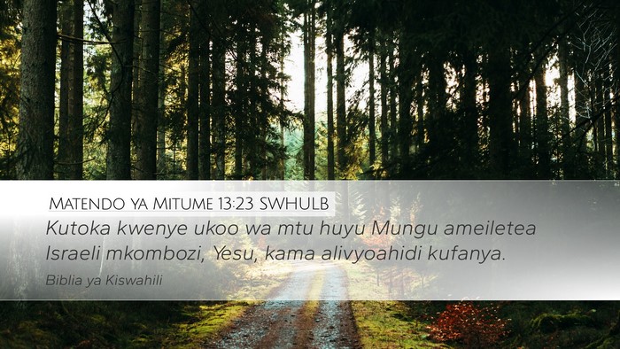 Matendo ya Mitume 13:23 SWHULB Bible Verse Image