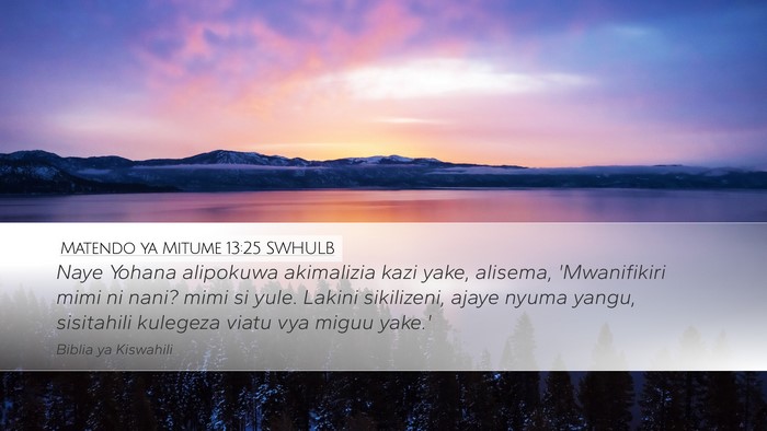 Matendo ya Mitume 13:25 SWHULB Bible Verse Image
