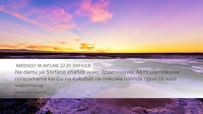 Matendo ya Mitume 22:20 SWHULB Bible Verse Image