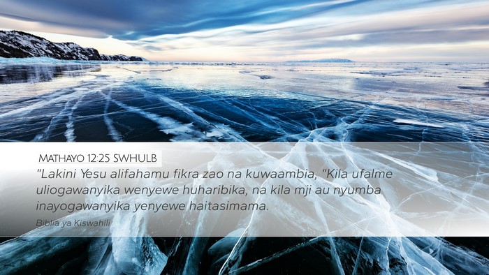 Mathayo 12:25 SWHULB Bible Verse Image