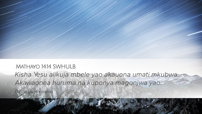 Mathayo 14:14 SWHULB Bible Verse Image