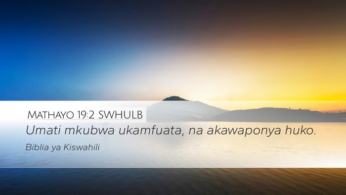 Mathayo 19:2 SWHULB Desktop Wallpaper - Umati mkubwa ukamfuata, na akawaponya - Desktop Bible Verse Wallpaper