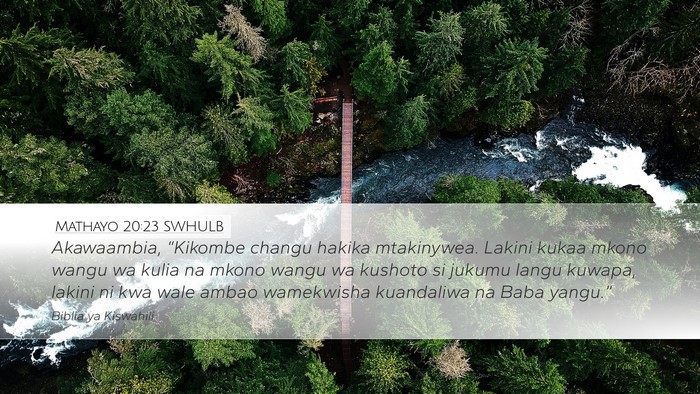 Mathayo 20:23 SWHULB Bible Verse Image