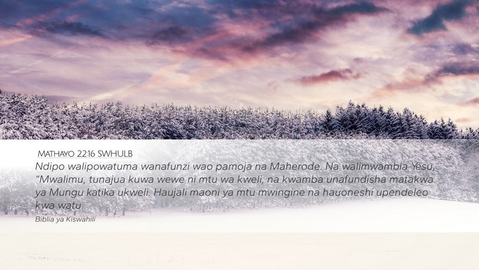 Mathayo 22:16 SWHULB Bible Verse Image