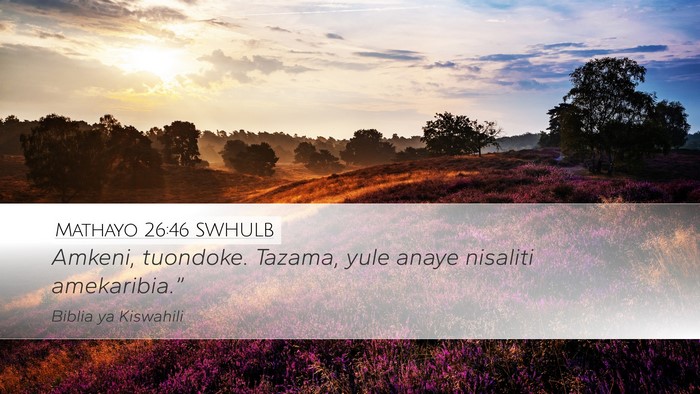 Mathayo 26:46 SWHULB Desktop Wallpaper - Amkeni, tuondoke. Tazama, yule anaye nisaliti - Desktop Bible Verse Wallpaper