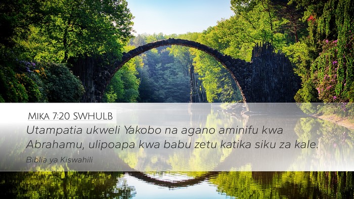 Mika 7:20 SWHULB Bible Verse Image