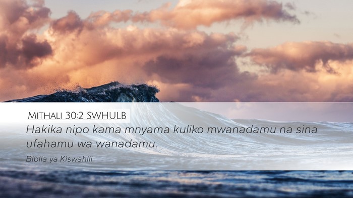Mithali 30:2 SWHULB Bible Verse Image