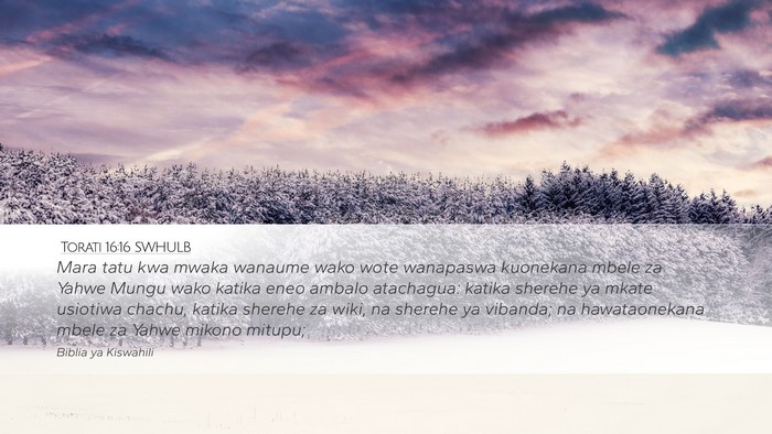 Torati 16:16 SWHULB Bible Verse Image