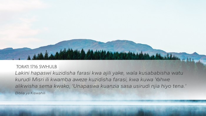 Torati 17:16 SWHULB Bible Verse Image