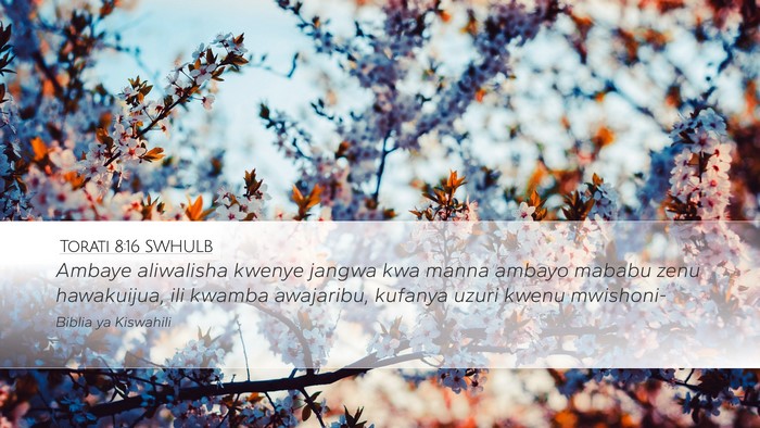 Torati 8:16 SWHULB Bible Verse Image