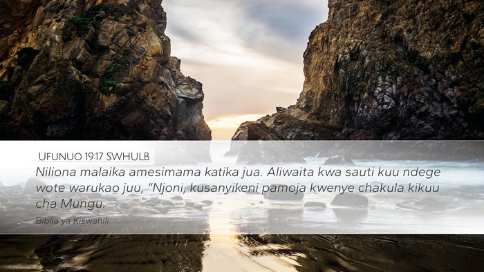 Ufunuo 19:17 SWHULB Bible Verse Image